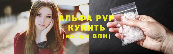 сатива Магас