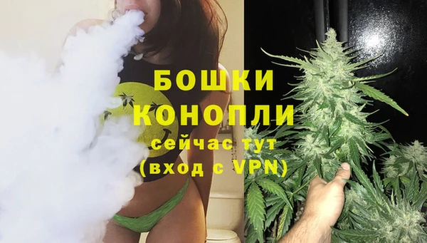 сатива Магас