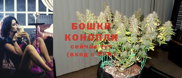 твердый Магадан
