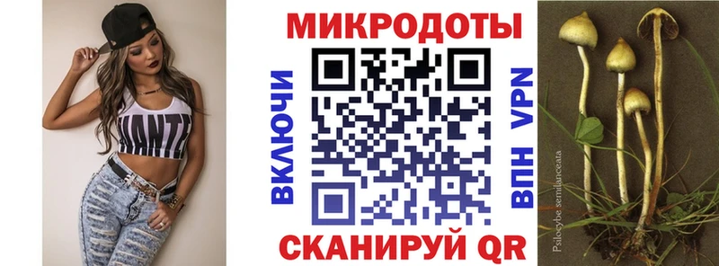 гидра онион Жуковка Галлюциногенные грибы Psilocybe